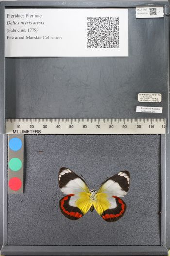 Media type: image;   Entomology 140008